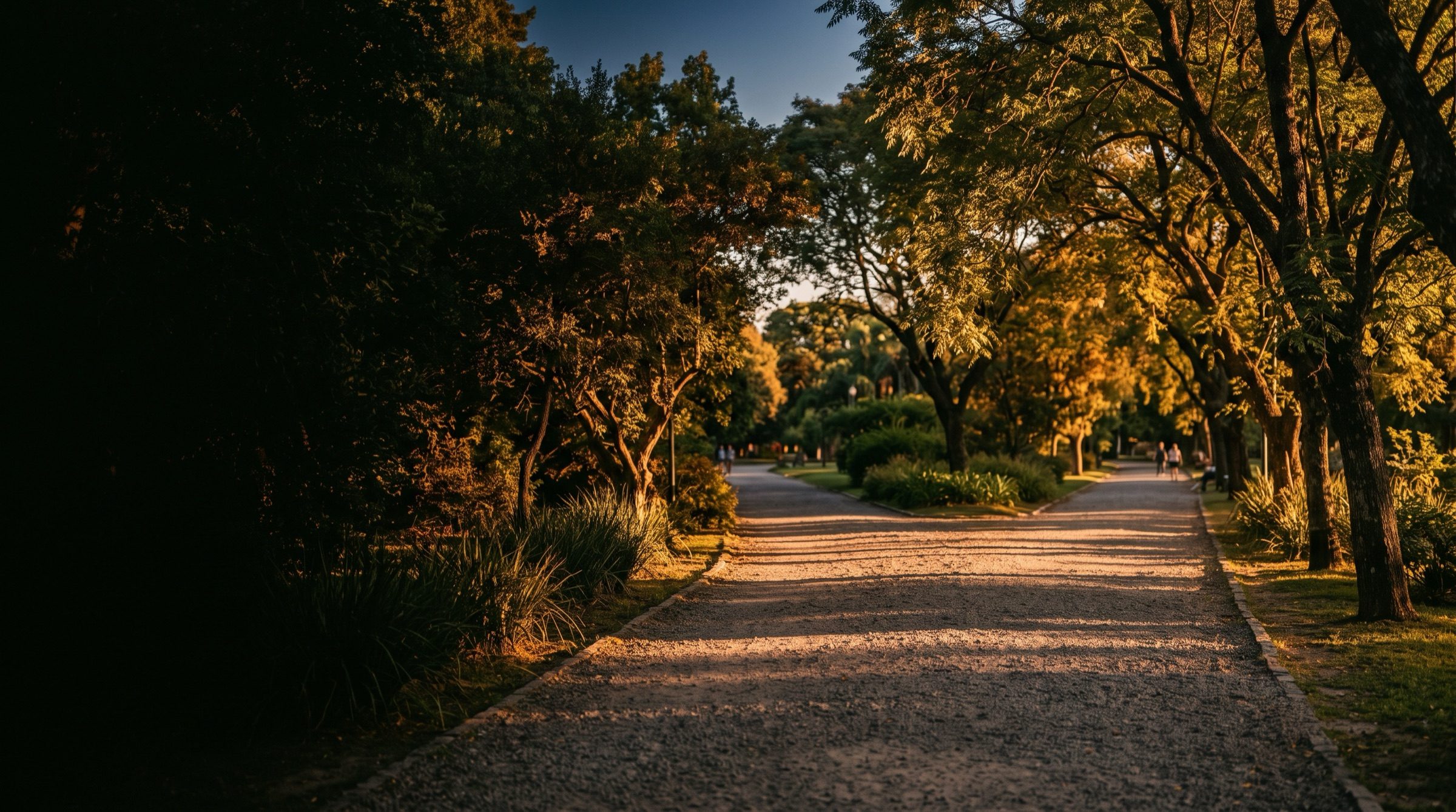 A tree-lined gravel path in a Buenos Aires park forking into two directions at golden hour, long shadows