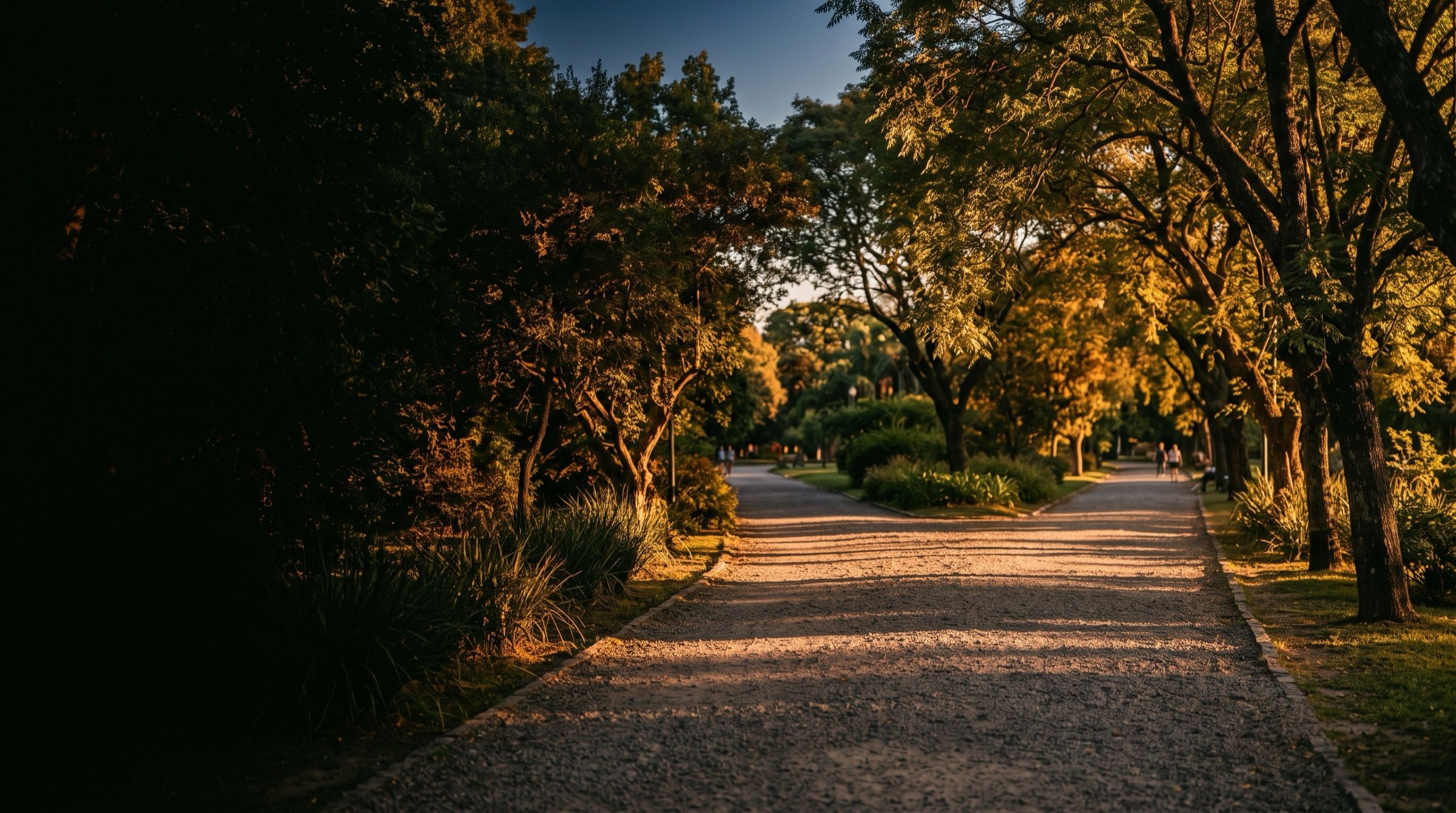 A tree-lined gravel path in a Buenos Aires park forking into two directions at golden hour, long shadows
